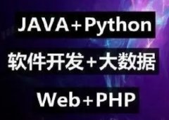 開發系統開發數據展示系統平臺數據應用分析